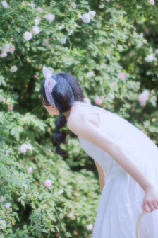 又见女王蜂